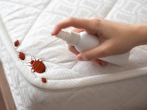 Emergency Pest Control in Orchard Hills, PA